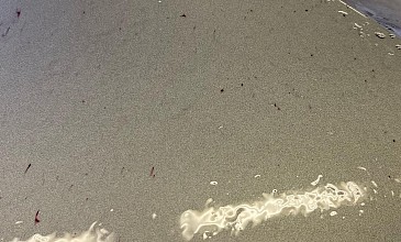 Προστασία Χρώματος: Wax Paste-Spray Wax- Sealants