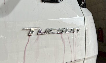 Προστασία Χρώματος: Wax Paste-Spray Wax- Sealants